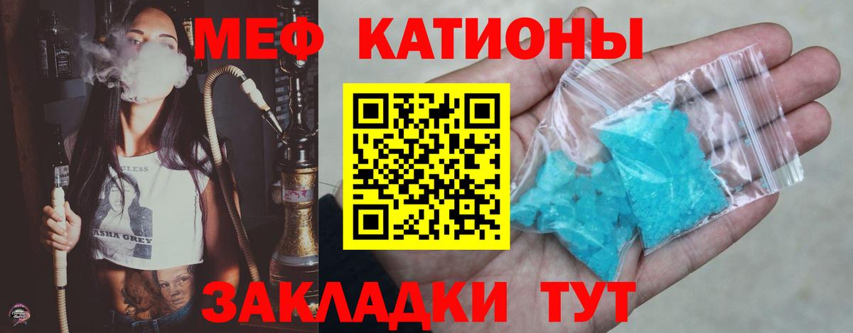 Псилоцибиновые грибы Тара