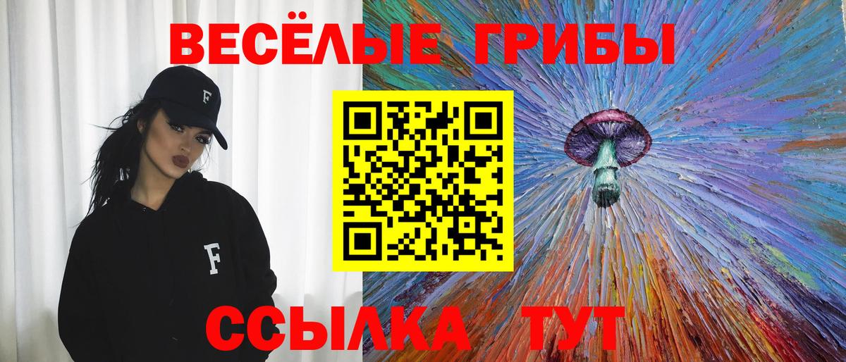 Тара  Псилоцибиновые грибы прущие грибы  Галлюциногенные грибы ЛСД  Вход с VPN 